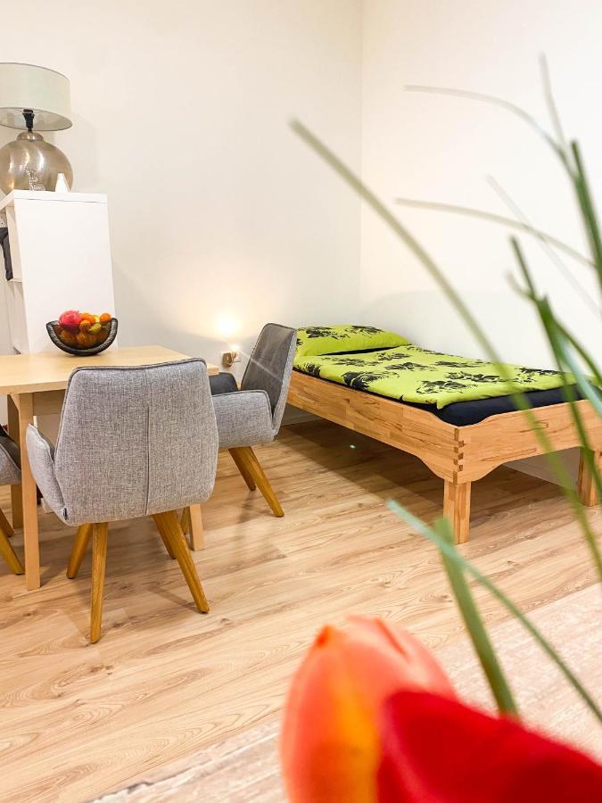 Senator Flat Paulusgasse Appartement Vienne