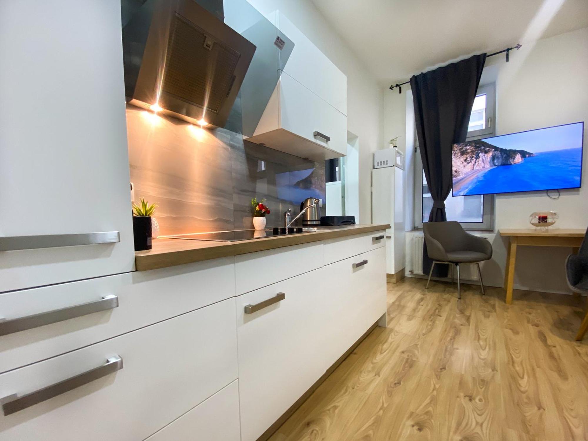 Senator Flat Paulusgasse Vienne